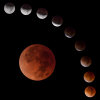 Lunar Eclipse montage