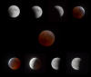 Lunar Eclipse Montage  11/8/2022
