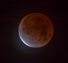 Lunar Eclipse 11192021