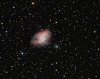 Comet 81P Wild & M1 Crab Nebula