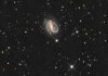 NGC 7479 cropped