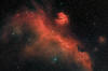 Seagull nebula in Monoceros