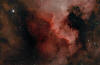 NGC 7000 North America nebula in Cygnus