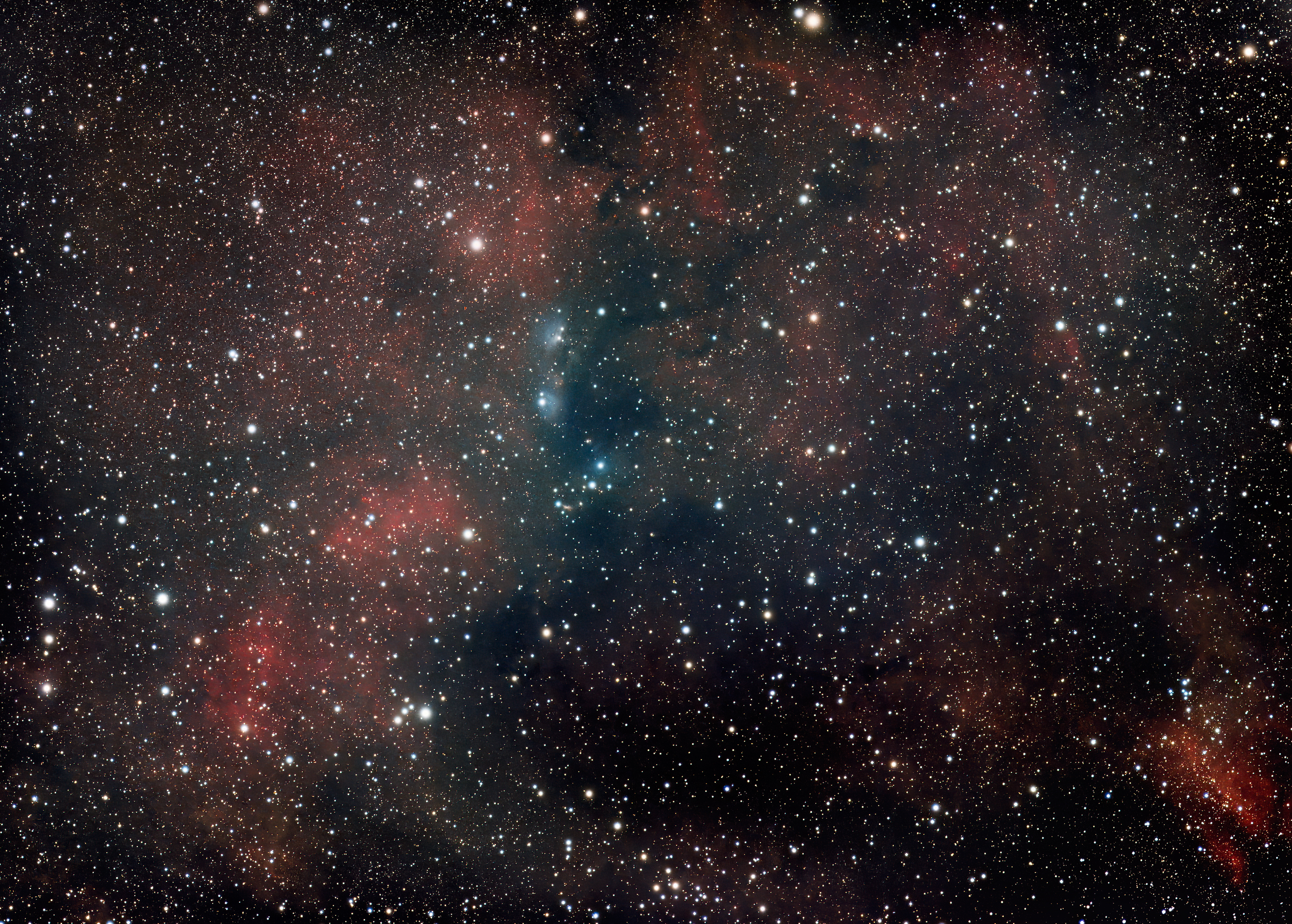 vdB 131 & 132 Reflection nebulae in Cygnus